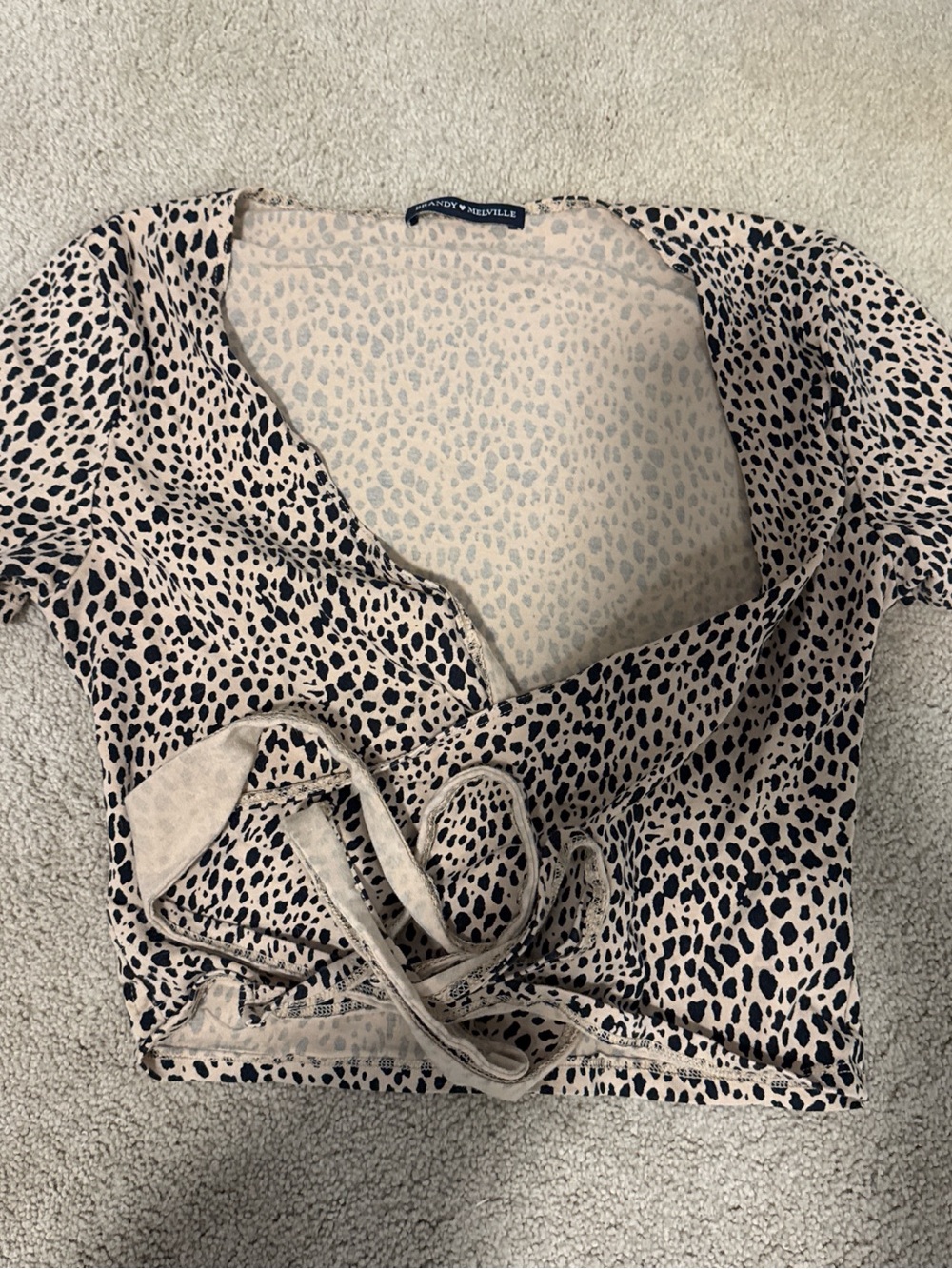 Brandy Melville Leopard Wrap Crop Top and shorts set